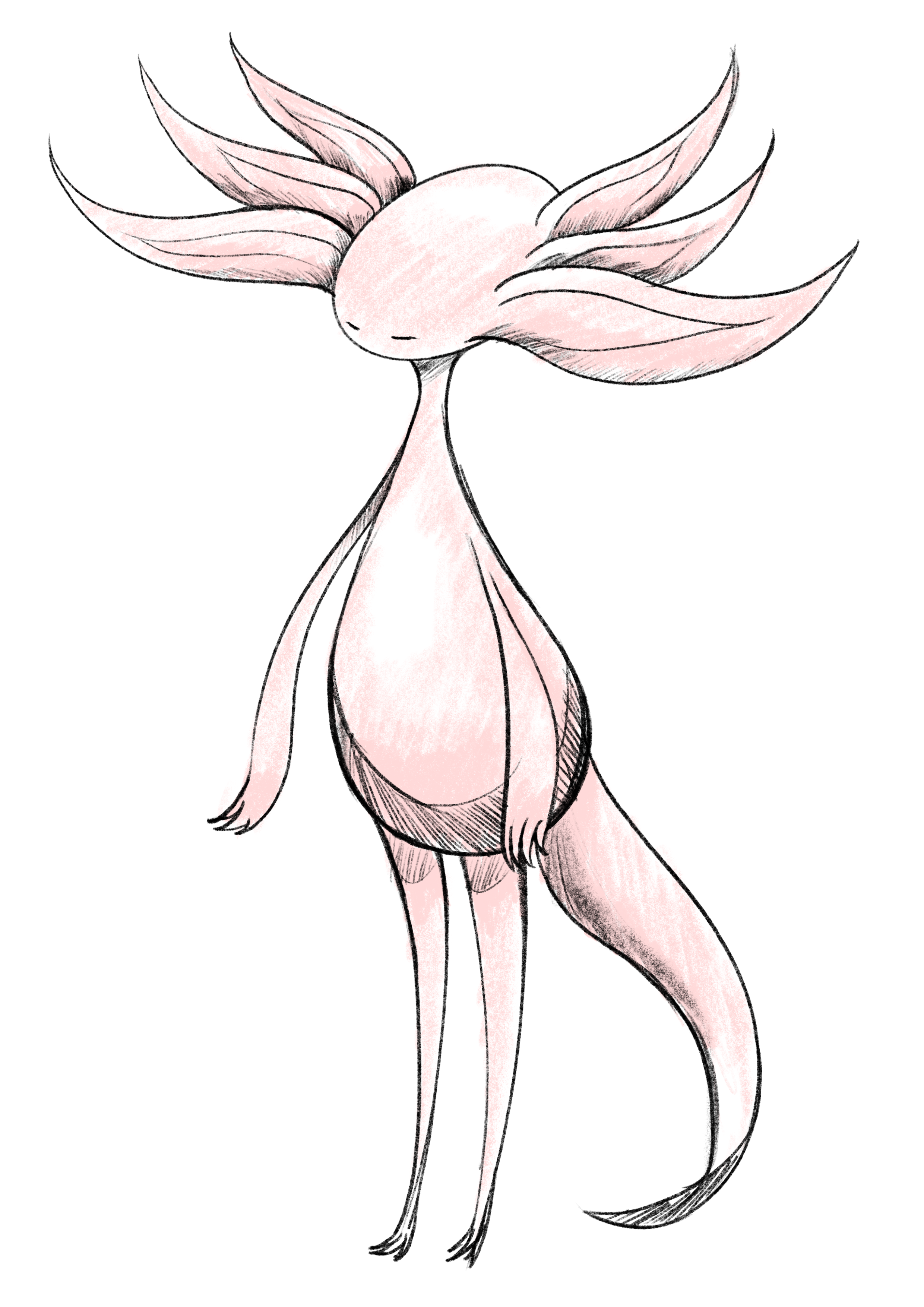 Drawing
